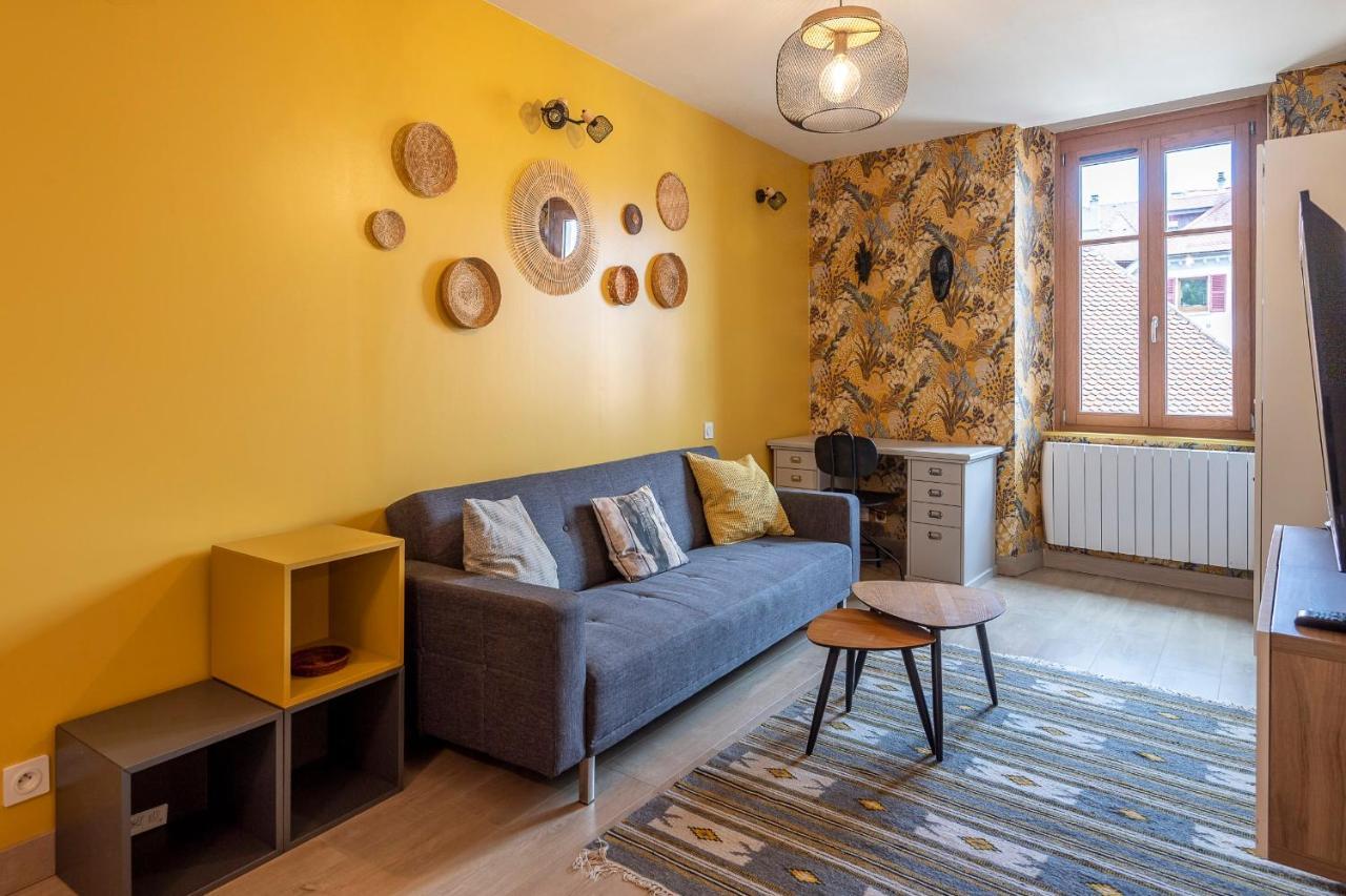 Reflet Des Alpes Furnished Flat Apartman Annecy Kültér fotó